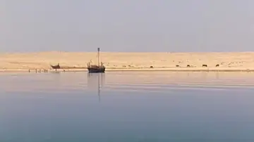 Zasłona do filmu "Odissea" #1165100