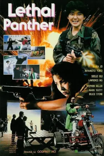 驚天龍虎豹 plakat