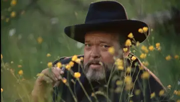 Zasłona do filmu "Vérités et Mensonges" #1072713