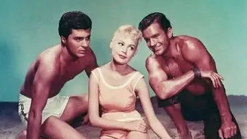 Zasłona do filmu "Gidget" #497877