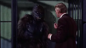 Zasłona do filmu "Konga" #652414