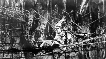 Zasłona do filmu "Earth vs. the Spider" #1143433