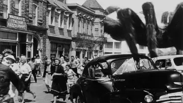 Zasłona do filmu "Earth vs. the Spider" #846698
