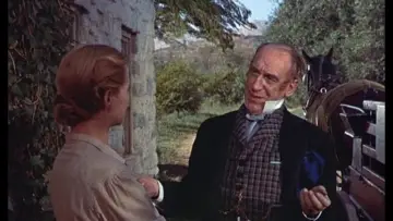 Zasłona do filmu "Przyjacielska perswazja" #1092296