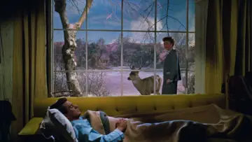 Zasłona do filmu "Wszystko, na co niebo zezwala" #1053719