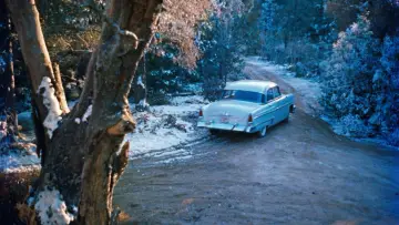 Zasłona do filmu "Wszystko, na co niebo zezwala" #1053723