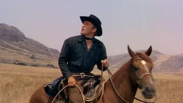 Zasłona do filmu "Urodzony pod złą gwiazdą" #1065657