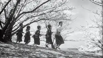 Zasłona do filmu "二十四の瞳" #1839139