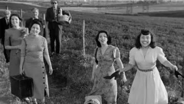 Zasłona do filmu "Luci del varietà" #1619490