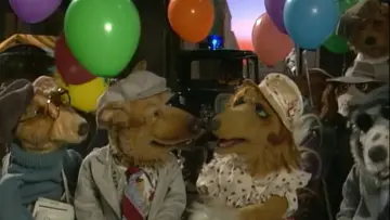Zasłona do filmu "Dog City" #1189911