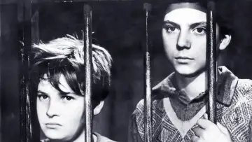 Zasłona do filmu "Dzieci ulicy" #468314