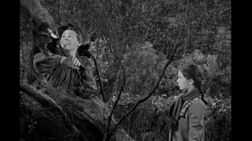 Zasłona do filmu "The Secret Garden" #1077251