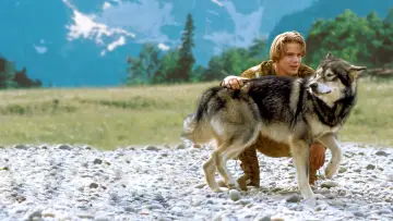 Zasłona do filmu "Biały Kieł 2: Legenda o Białym Wilku" #393173