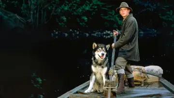 Zasłona do filmu "Biały Kieł 2: Legenda o Białym Wilku" #393177
