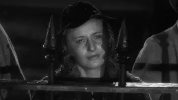 Zasłona do filmu "Stella Dallas" #1130615
