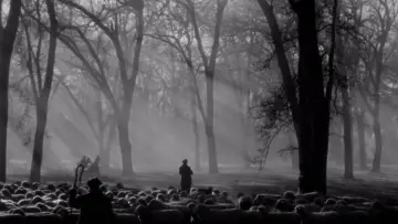 Zasłona do filmu "Pożegnalny walc" #904662