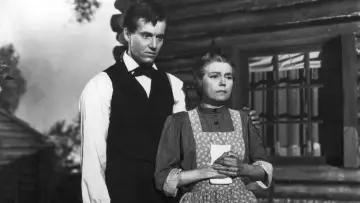 Zasłona do filmu "Young Mr. Lincoln" #1578043