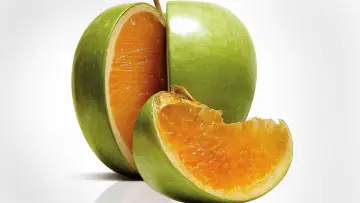 Zasłona do filmu "Freakonomics" #1132592