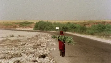 Zasłona do filmu "خاک سر به مهر" #915387