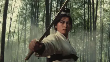 Zasłona do filmu "Dotyk Zen" #380191