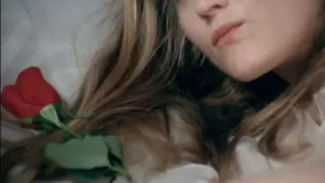 Zasłona do filmu "Bestia" #1084851