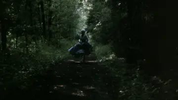 Zasłona do filmu "Bestia" #1084852