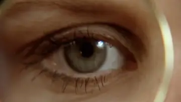Zasłona do filmu "Bestia" #1084867