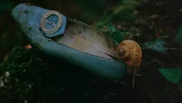 Zasłona do filmu "Bestia" #441389