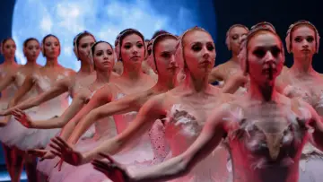 Zasłona do filmu "Czarny Łabędź" #202223