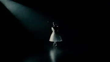 Zasłona do filmu "Czarny Łabędź" #595667