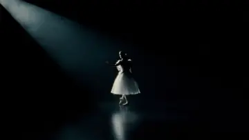 Zasłona do filmu "Czarny Łabędź" #595696
