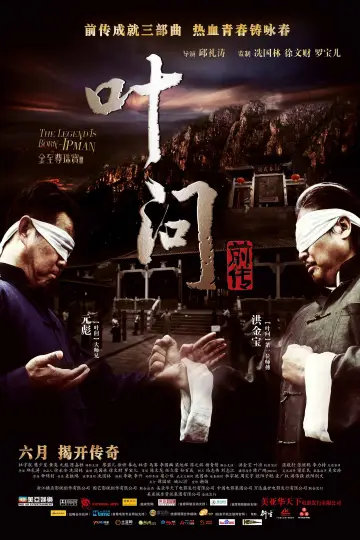 Plakat do filmu "Narodziny Legendy: Ip Man" #1806381