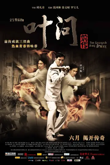 Plakat do filmu "Narodziny Legendy: Ip Man" #1806382