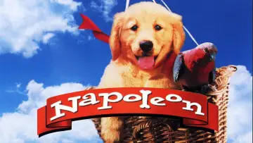 Zasłona do filmu "Napoleon" #646954