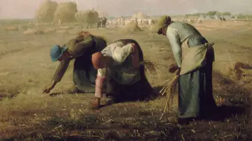 Zasłona do filmu "Les Glaneurs et la Glaneuse" #769767