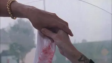 Zasłona do filmu "Hustler White" #496556