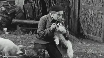 Zasłona do filmu "Ani widu, ani słychu" #470708