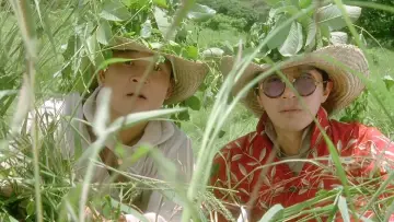 Zasłona do filmu "算死草" #411562