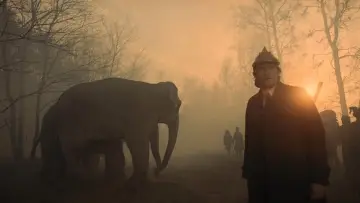 Zasłona do filmu "Sanatorium pod Klepsydrą" #1633966
