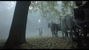 Zasłona do filmu "Sanatorium pod Klepsydrą" #1634010