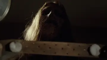 Zasłona do filmu "Oddział" #393214