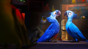 Zasłona do filmu "Rio" #267492