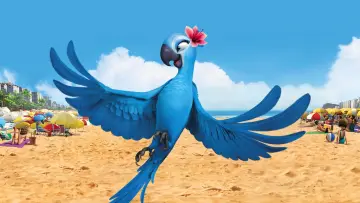 Zasłona do filmu "Rio" #267496