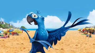 Zasłona do filmu "Rio" #267497