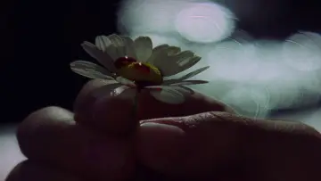 Zasłona do filmu "Waleria i tydzień cudów" #1020148