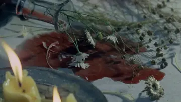 Zasłona do filmu "Waleria i tydzień cudów" #1020149