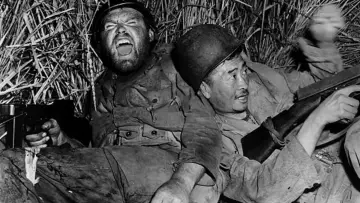 Zasłona do filmu "The Steel Helmet" #1847735