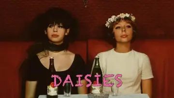Zasłona do filmu "Stokrotki" #988144