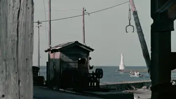 Zasłona do filmu "Dryfujące trzciny" #1085589