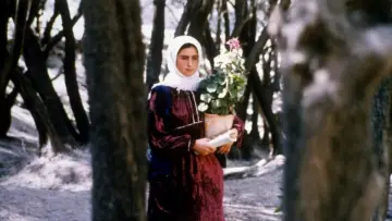 Zasłona do filmu "زیر درختان زیتون" #457598